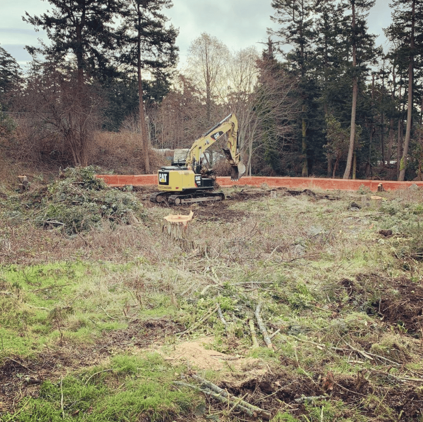 Land clearing in Victoria