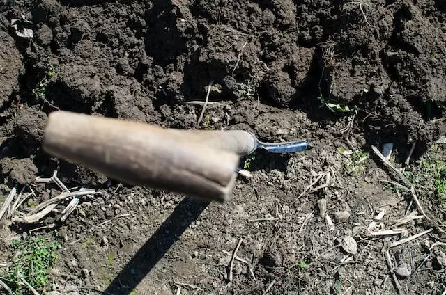 excavation safety tips